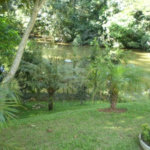 Terreno à venda em Horto Florestal, São Paulo, SP