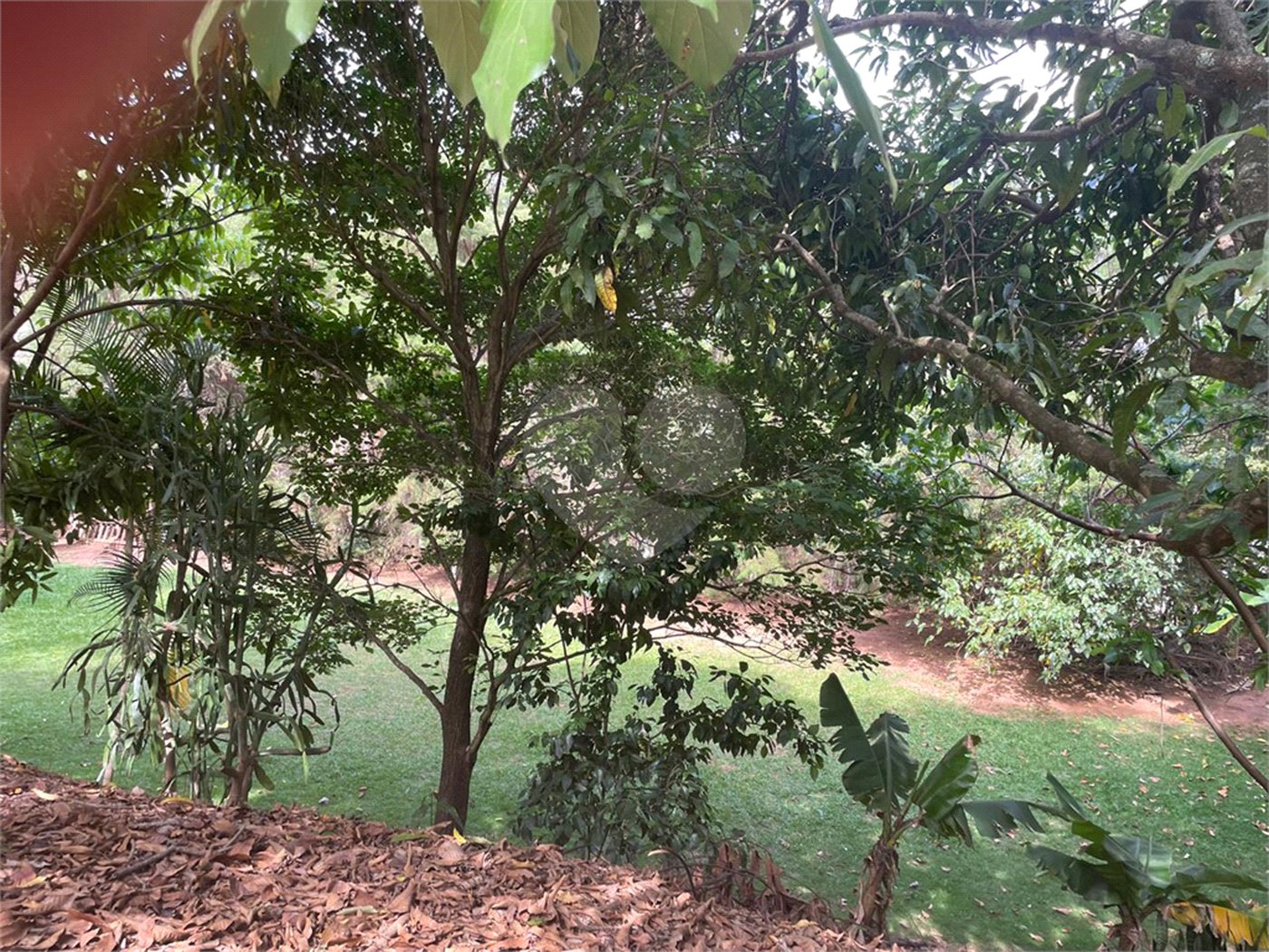 Terreno à venda em Jardim Nova América, Louveira, SP