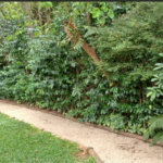 Apartamento à venda com 2 suítes em Parque do Morumbi, São Paulo, SP