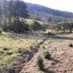 Sítio à venda com 3 quartos em Bairro do Cambará, São Roque, SP
