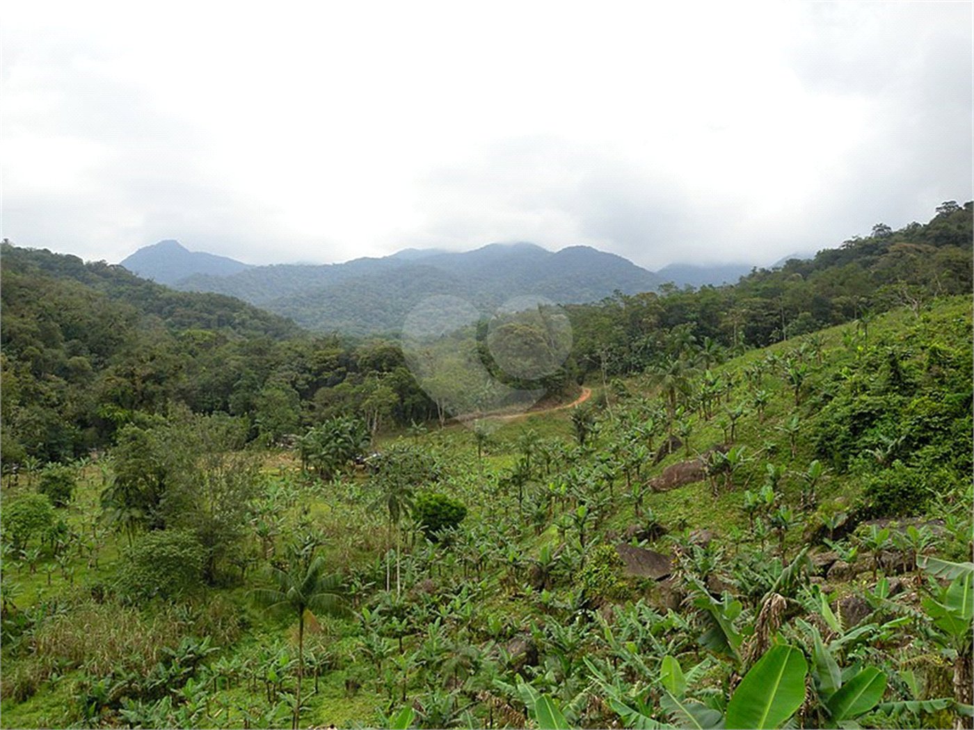Fazenda à venda no Centro, Sete Barras, SP
