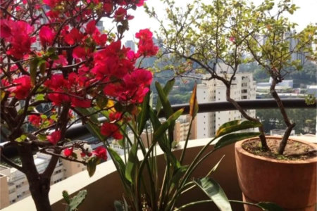 Cobertura à venda com 3 quartos, sendo 1 suíte, em Vila Andrade, São Paulo, SP