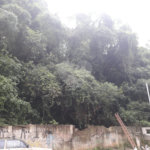 Terreno à venda em Santana, São Paulo, SP