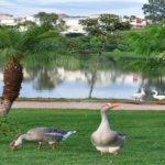 Terreno à venda no condomínio Ibiti do Paço, Sorocaba - SP