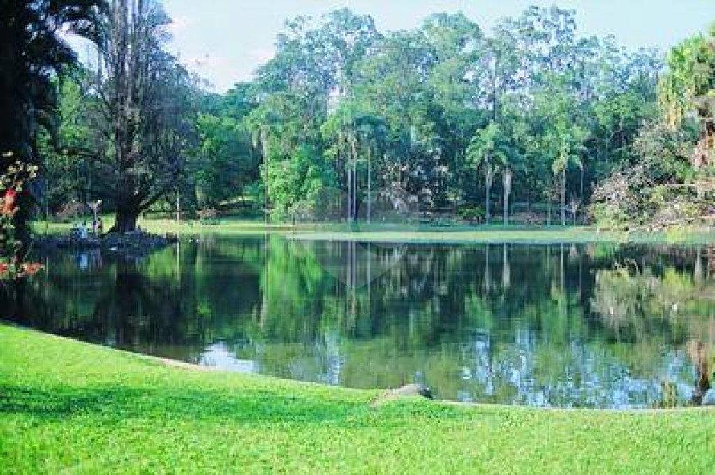Terreno à venda em Horto Florestal, São Paulo, SP