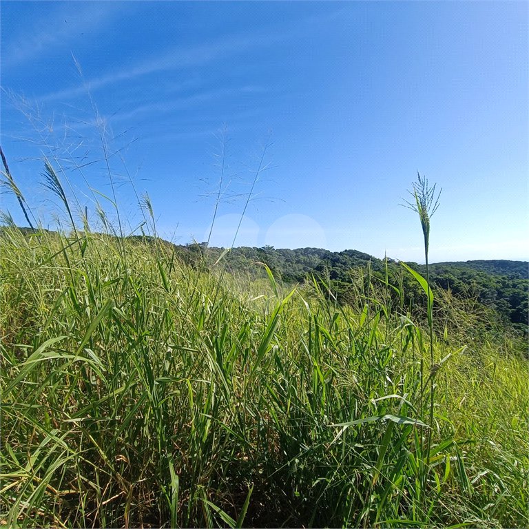 Terreno à venda em Tartaruga, Armação dos Búzios, RJ