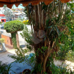 Casa à venda com 5 quartos em Santa Rosa, Vinhedo, SP