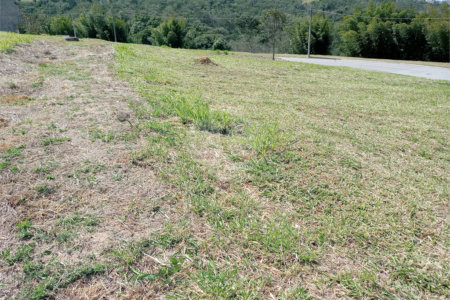 Terreno à venda no condomínio Campo de Toscana, Vinhedo - SP