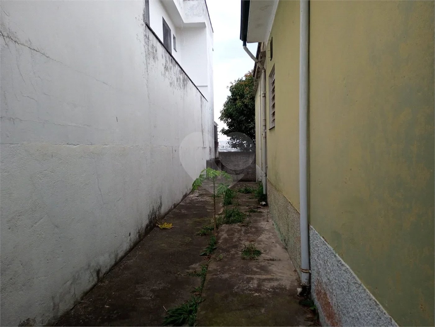 Sobrado à venda com 3 quartos em Vila Maria Alta, São Paulo, SP