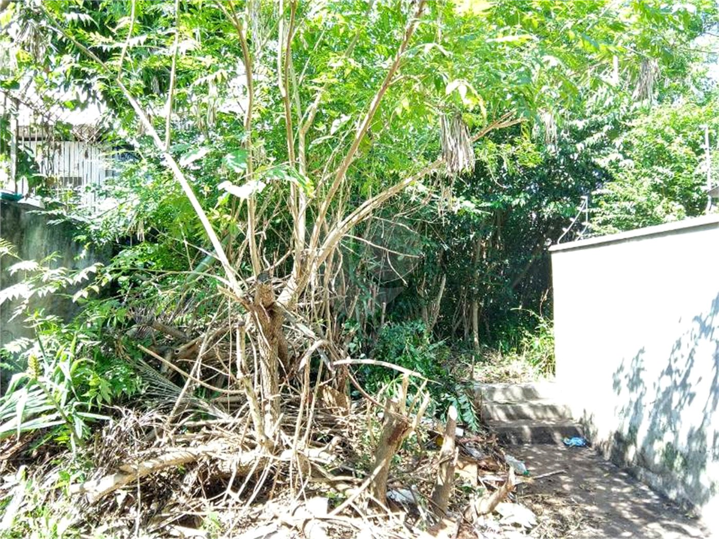 Sobrado à venda com 2 quartos em Vila Alexandria, São Paulo, SP