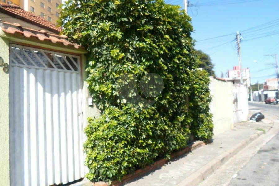 Terreno à venda em Vila Mazzei, São Paulo, SP