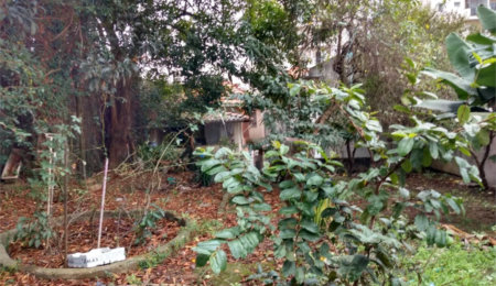 Sobrado à venda com 3 quartos em Vila Guilherme, São Paulo, SP