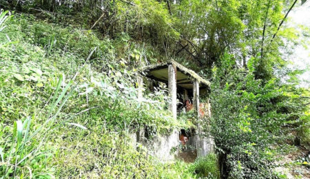 Terreno Residencial à venda, Morro de Nova Cintra, Santos - TE0034.