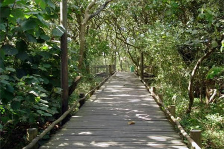 Terreno à venda em Guarapiranga, São Paulo, SP