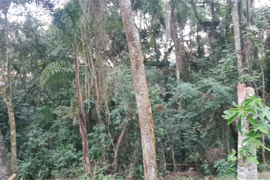 Condomínio à venda em Serra da Cantareira, Mairiporã, SP