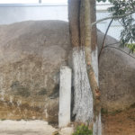 Casa à venda com 5 suítes em Roseira, Mairiporã, SP