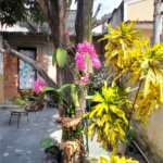 Casa à venda com 3 quartos em Campo Grande, Rio de Janeiro, RJ
