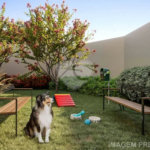 Apartamento à venda com 3 quartos, sendo 1 suíte, em Parque São Jorge, São Paulo, SP