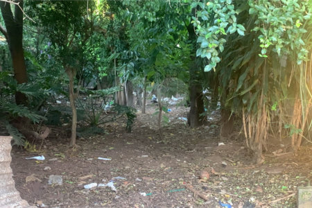 Terreno com 1.000,00 m²