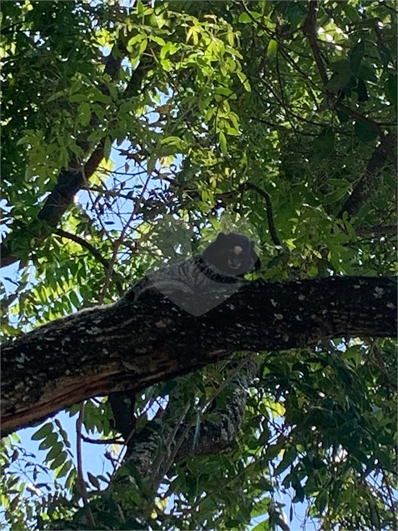 Terreno à venda no condomínio Parque dos Resedás, Itupeva - SP