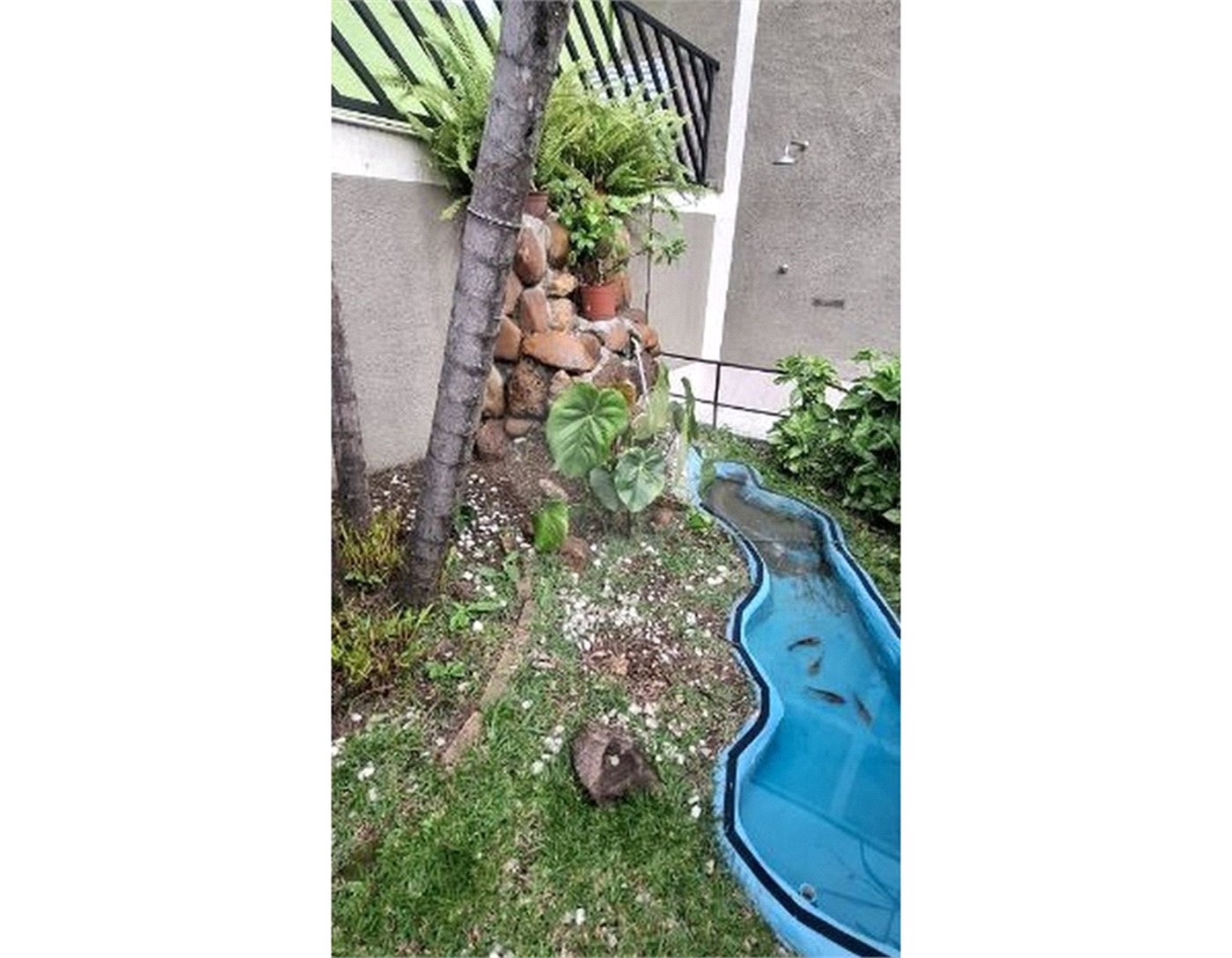 Casa à venda com 4 quartos, sendo 3 suítes, em Vila Aurora (zona Norte), São Paulo, SP