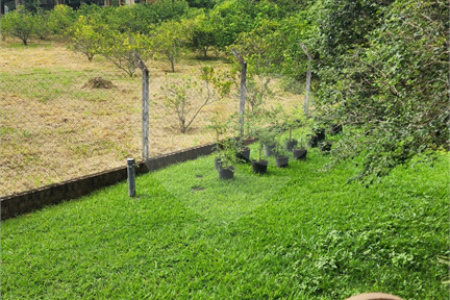 Chácara à venda com 4 quartos, sendo 3 suítes, em Pinheirinho, Vinhedo, SP