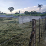 Terreno à venda em Botujuru, Mogi das Cruzes, SP