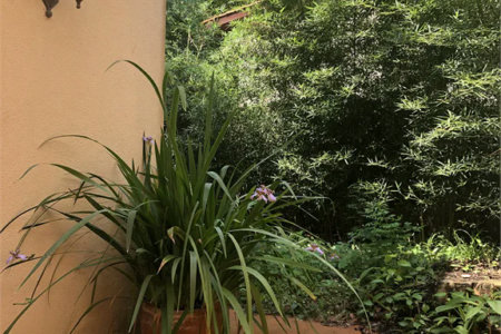 Casa à venda com 3 quartos, sendo 2 suítes,  em Jardim Ampliação, São Paulo, SP