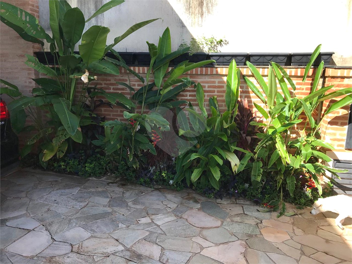 Casa à venda com 3 quartos, sendo 1 suíte, em Jardim São Luiz, Ribeirão Preto, SP