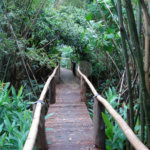Terreno à venda em Horto Florestal, São Paulo, SP