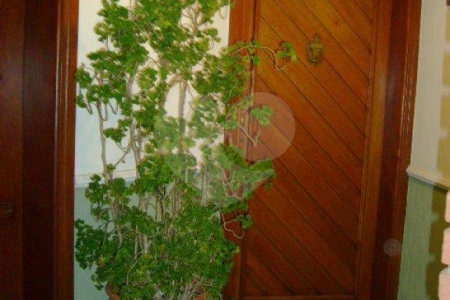 Sobrado à venda com 4 suítes em Jardim São Bento, São Paulo, SP