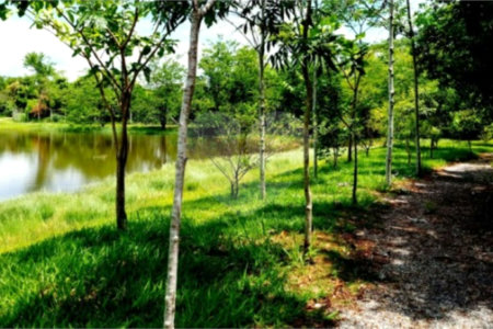 Casa à venda com 4 suítes no condomínio Residencial Fazenda São José, Salto de Pirapora - SP