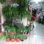 Loja à venda com 3 quartos em Vila Albertina, São Paulo, SP