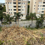 Terreno à venda em Vila Nova Socorro, Mogi das Cruzes, SP