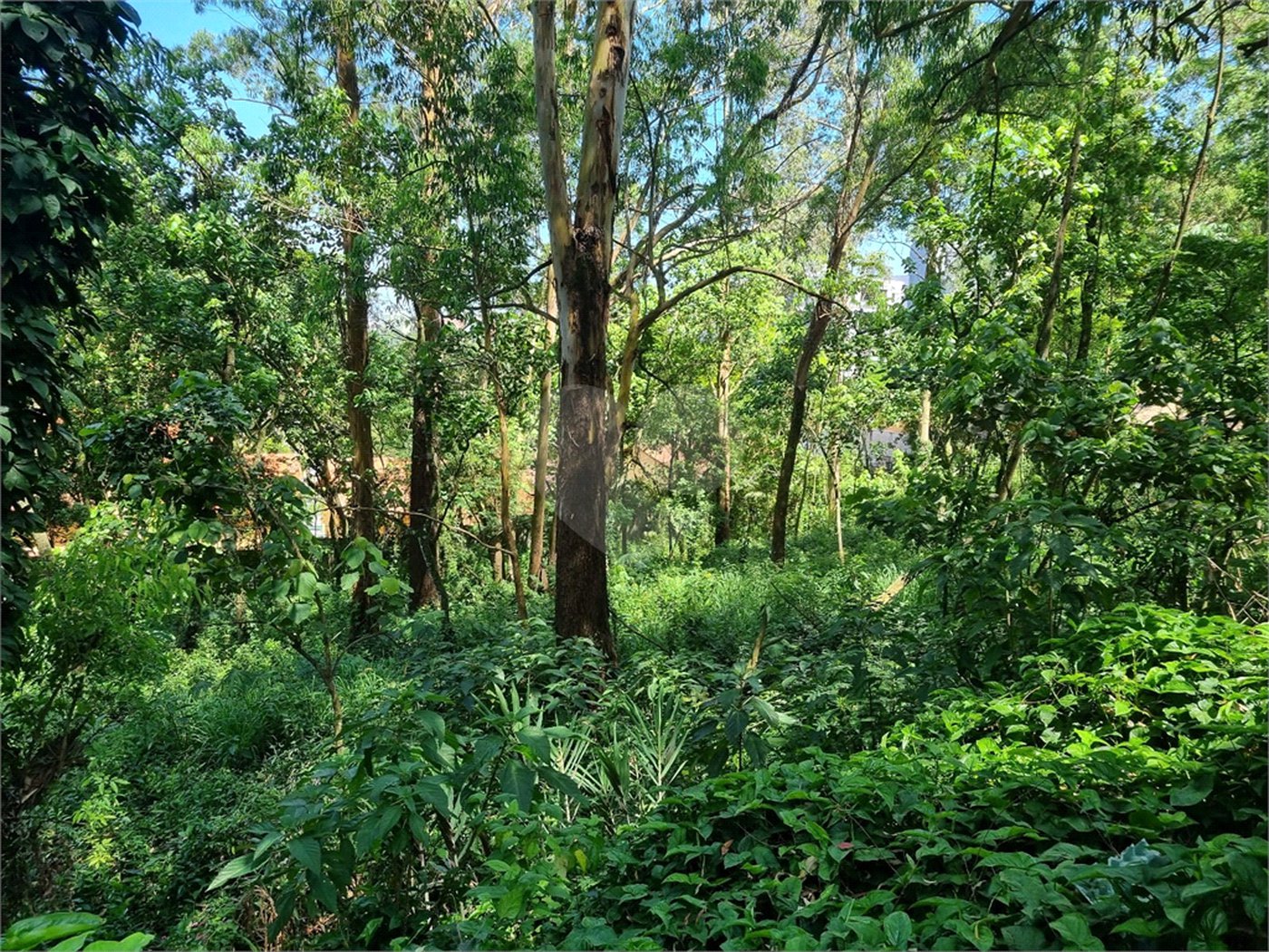 Terreno à venda no condomínio Horto do Ypê, São Paulo - SP