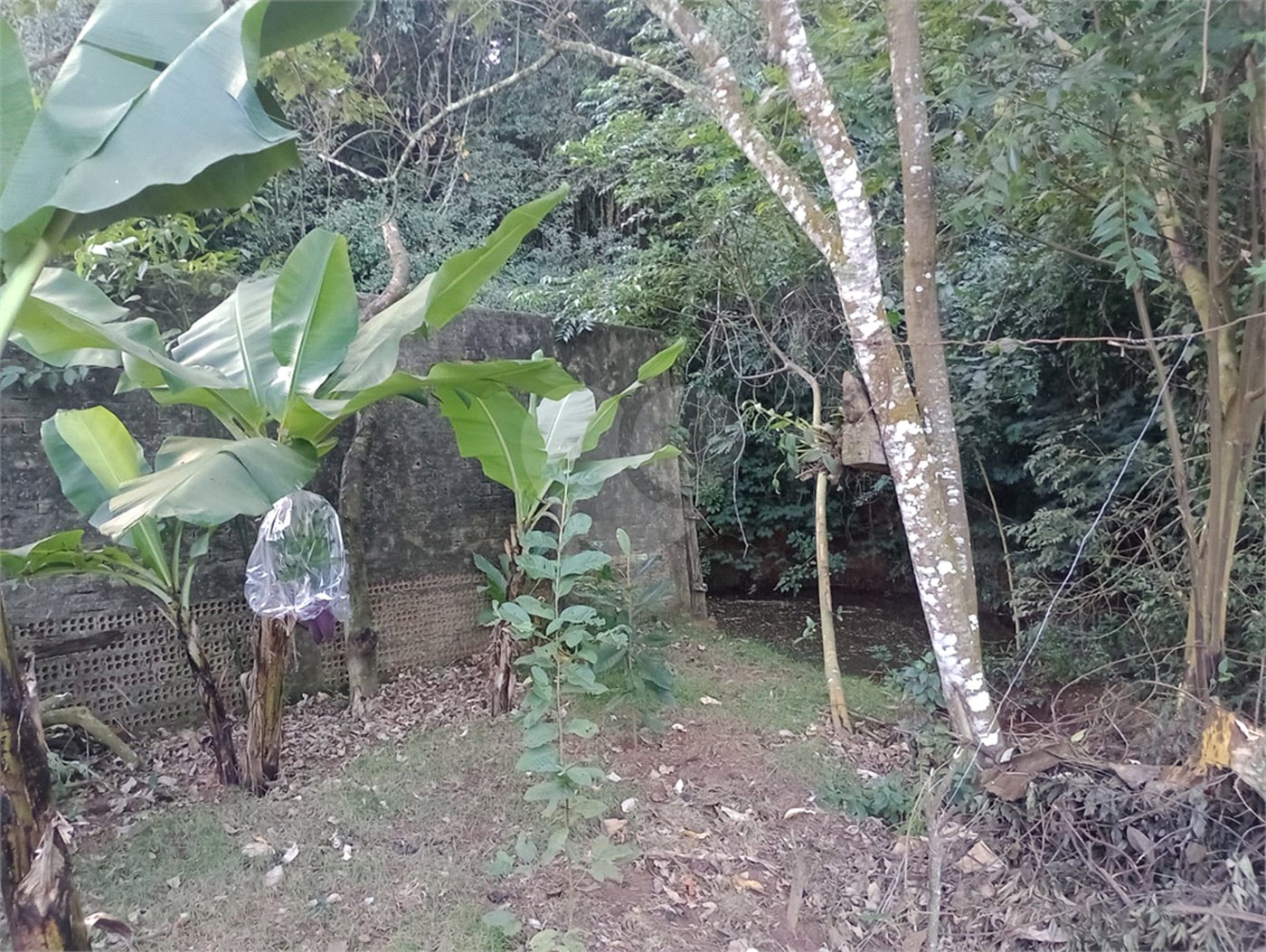 Chácara à venda com 5 quartos, sendo 1 suíte, em Jardim Marabá, Itapetininga, SP
