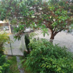 Sobrado à venda com 3 quartos, sendo 1 suíte, em Santana, São Paulo, SP