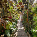 Casa à venda ou para alugar com 4 quartos em Jardim Marajoara, São Paulo, SP