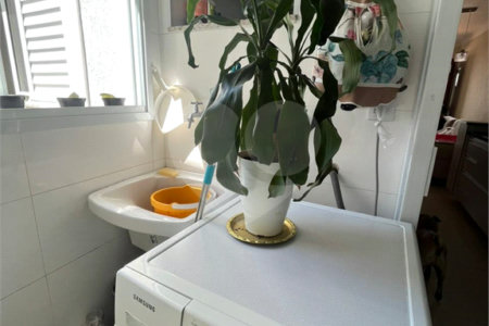 Apartamento à venda com 2 quartos em Chora Menino, São Paulo, SP