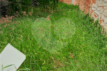 Terreno à venda no condomínio Celia Maria, Porto Feliz - SP