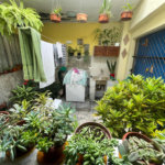 Sobrado à venda com 3 quartos, sendo 1 suíte, em Jardim São Paulo(zona Norte), São Paulo, SP