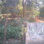 Terreno à venda em Vila Albertina, São Paulo, SP