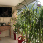 Apartamento à venda com 3 suítes em Lar São Paulo, São Paulo, SP