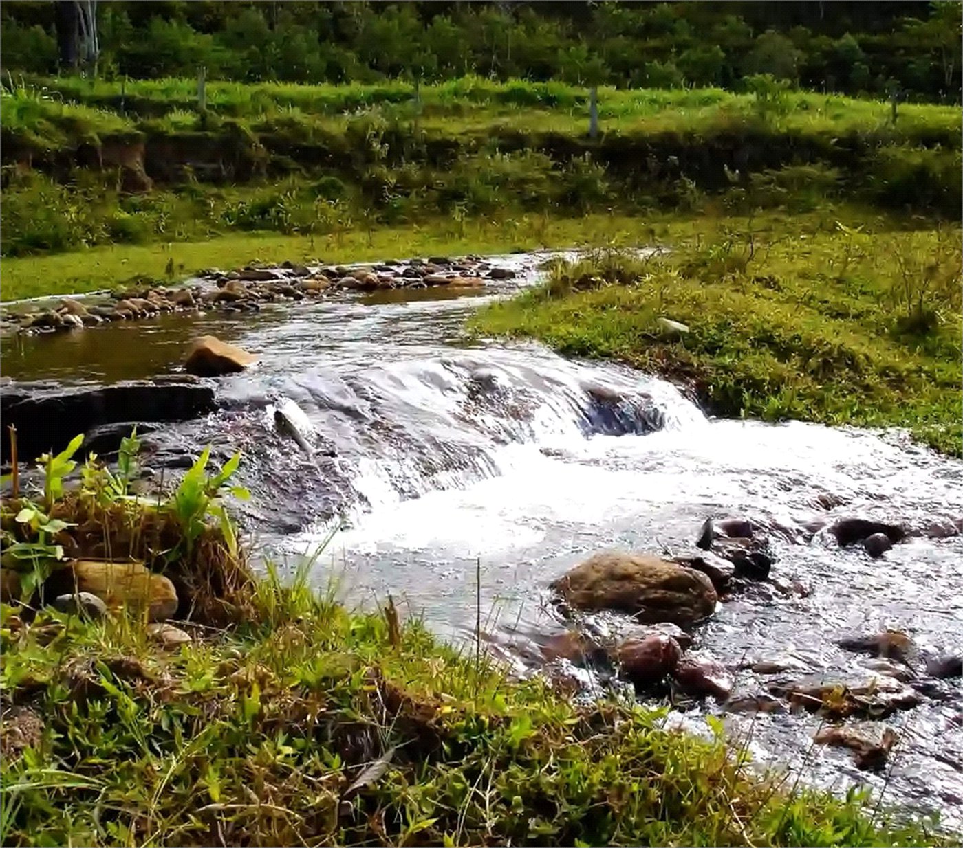 Fazenda à venda em Eugênio de Mello, São José dos Campos, SP