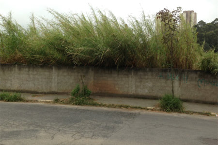 Terreno à venda em Jardim Ampliação, São Paulo, SP