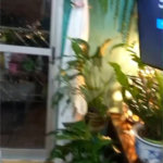 Apartamento à venda com 3 quartos, sendo 1 suíte, em Vila Medeiros, São Paulo, SP