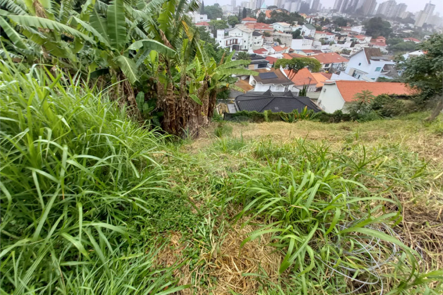 Terreno à venda em Jardim França, São Paulo, SP