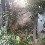 Casa à venda com 3 quartos, sendo 1 suíte, em Vila Nova Mazzei, São Paulo, SP
