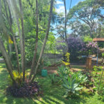 Chácara à venda com 3 quartos, sendo 1 suíte, em Chácara Flora Araraquara, Araraquara, SP
