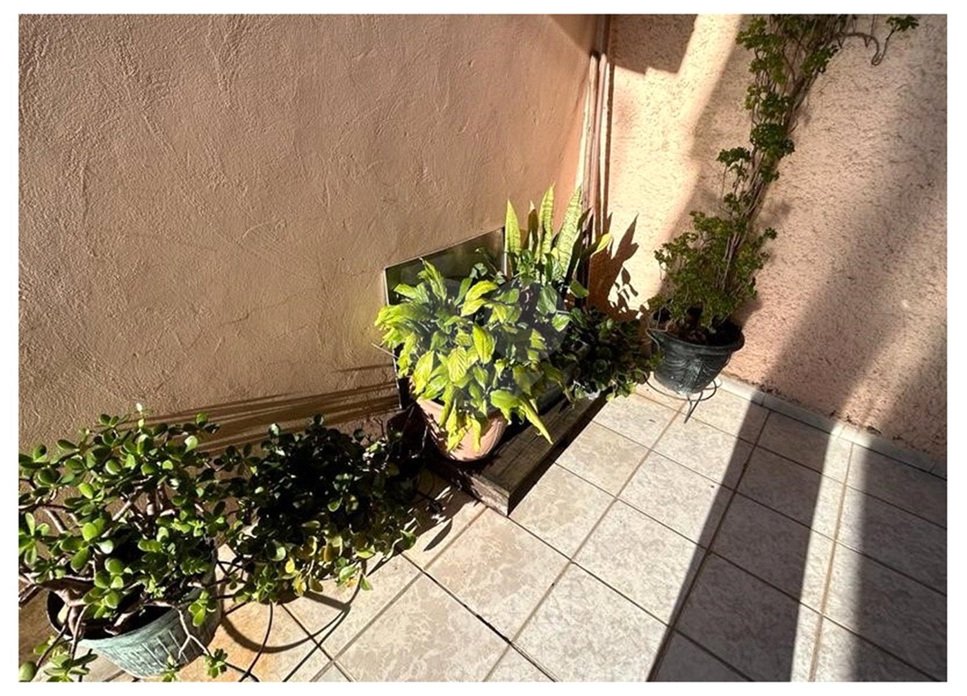 Casa à venda com 5 quartos, sendo 1 suíte, em Jardim São Paulo, Sorocaba, SP